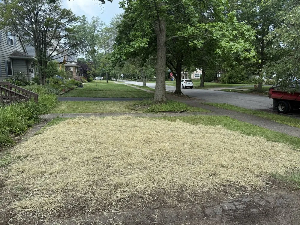 Custom landscape design in Rome, OH - CWS Land Services