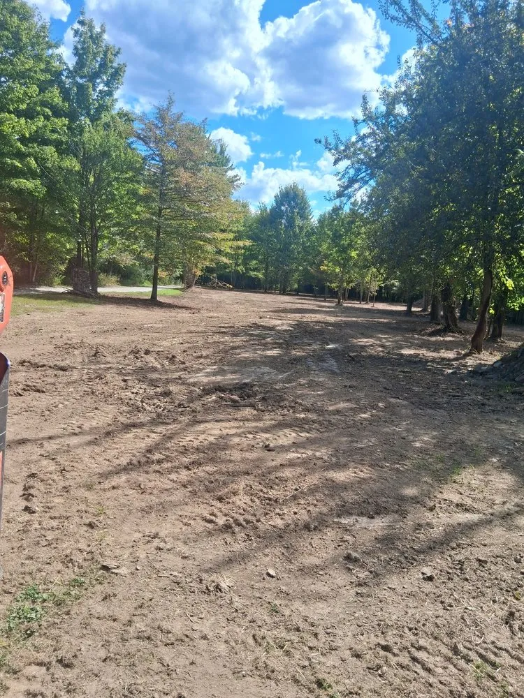 Custom landscaping services for outdoor upgrades in Rome, OH by CWS Land Services