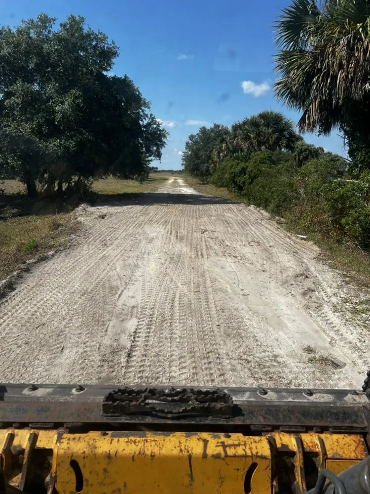 Affordable yard cleanup service in Lake Placid, FL - CWS Landscapes