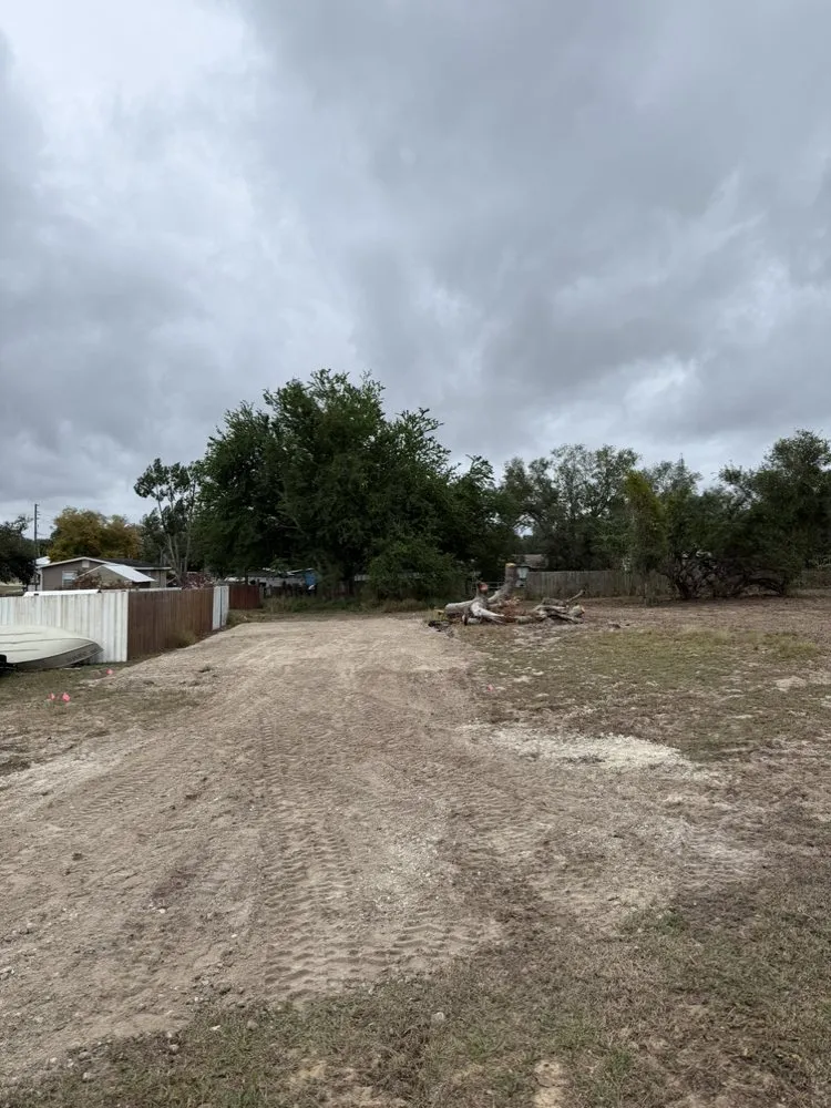 Custom lawn care service in Lake Placid, FL - CWS Landscapes