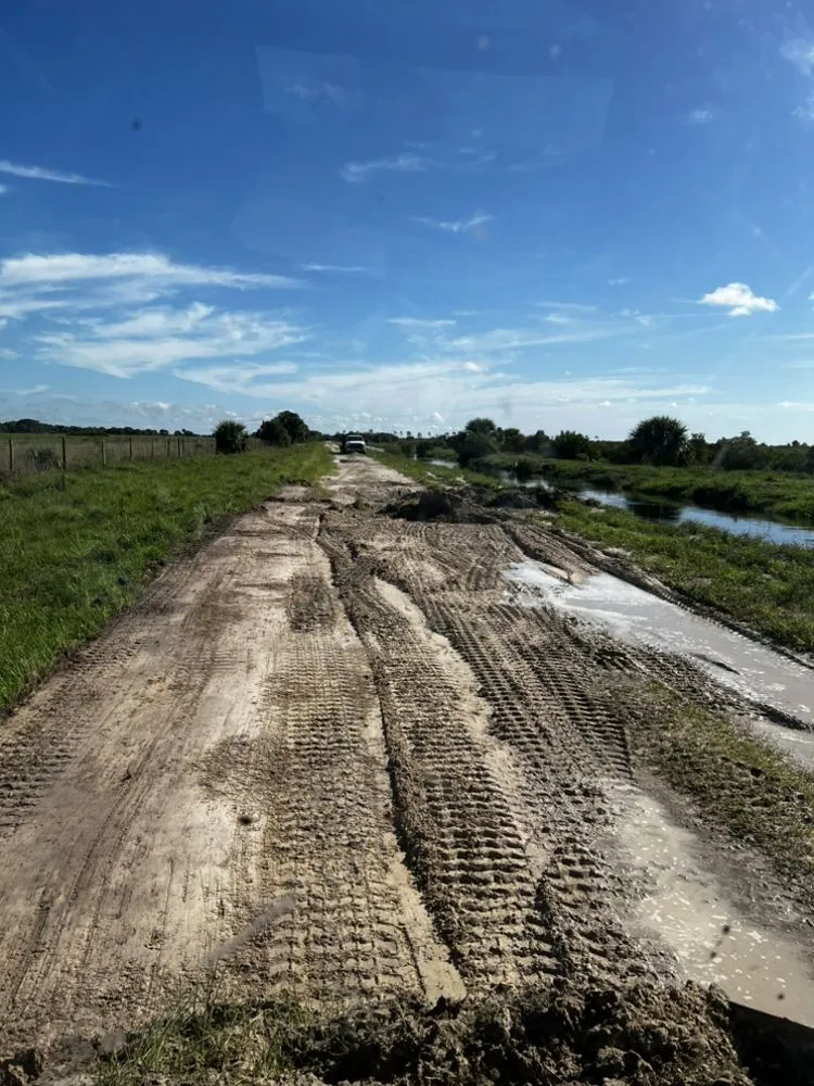 Affordable landscaping services in Lake Placid, FL - CWS Landscapes