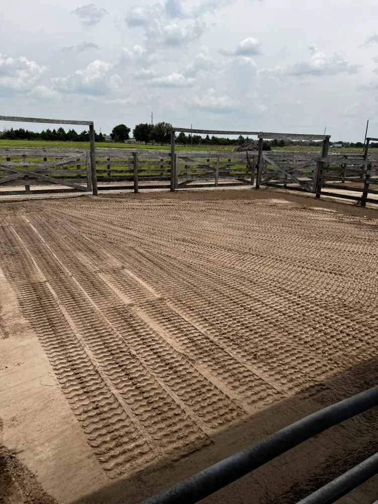 Trusted yard maintenance with custom design in Lake Placid, FL by CWS Landscapes