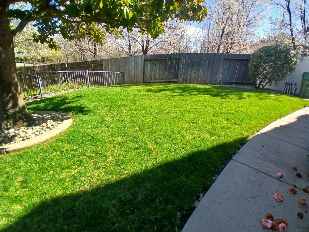 Local landscape design in Cottonwood, CA by CX Lawn Care & More