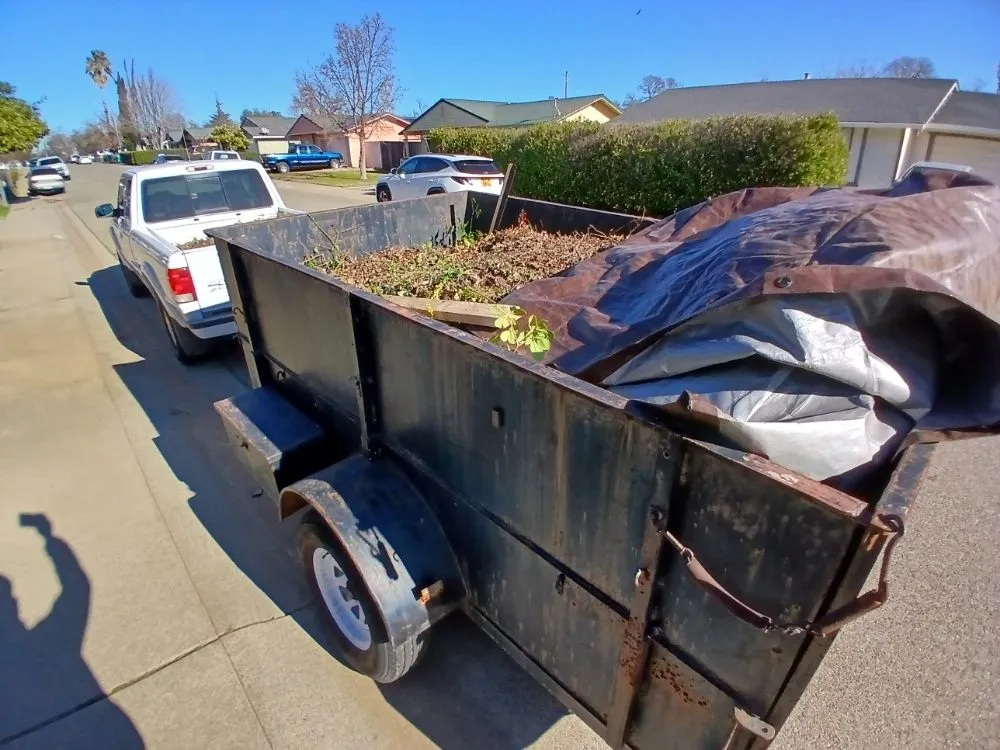 Expert landscape installation for year-round maintenance across Cottonwood, CA - CX Lawn Care & More