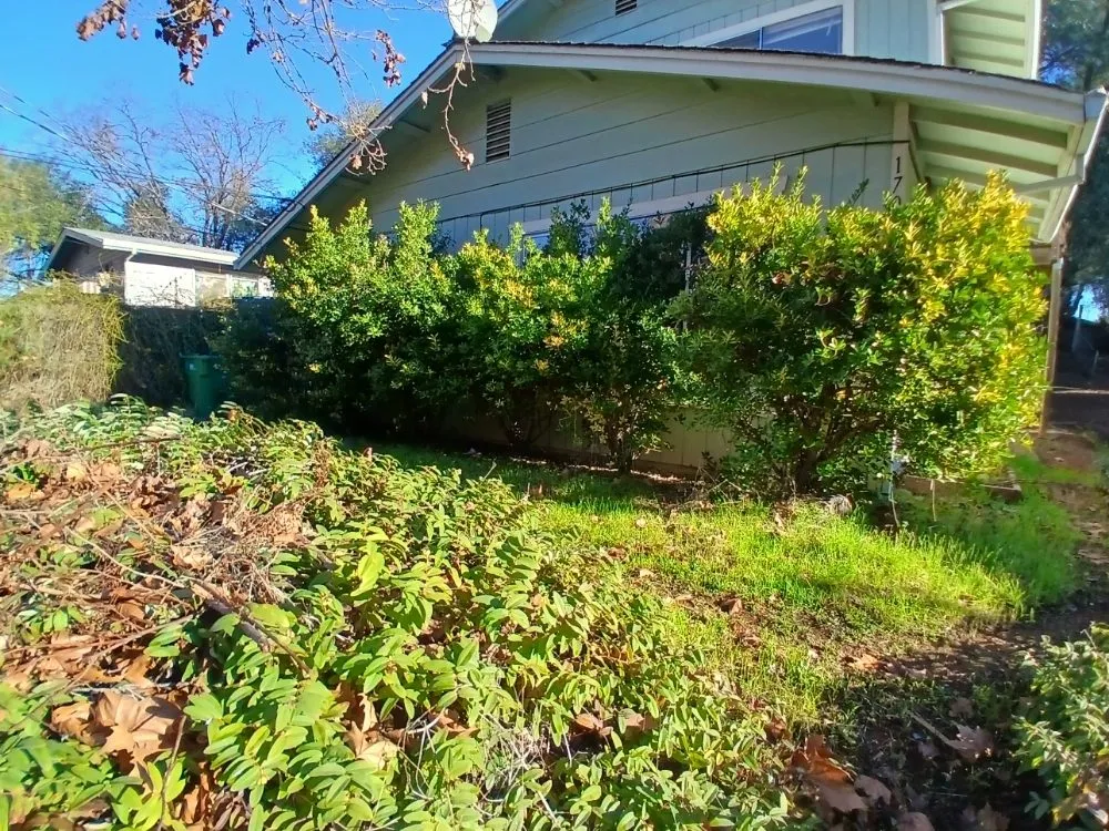 Local garden landscaping for year-round maintenance in Cottonwood, CA by CX Lawn Care & More