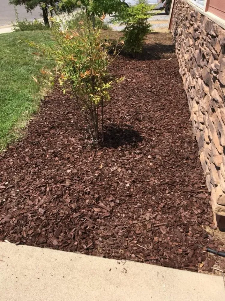 Professional lawn care service in Cottonwood, CA by CX Lawn Care & More