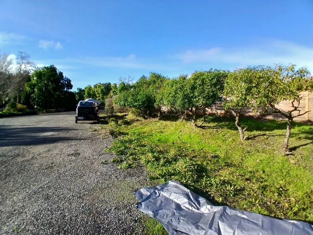 Local yard cleanup service with custom design across Cottonwood, CA - CX Lawn Care & More