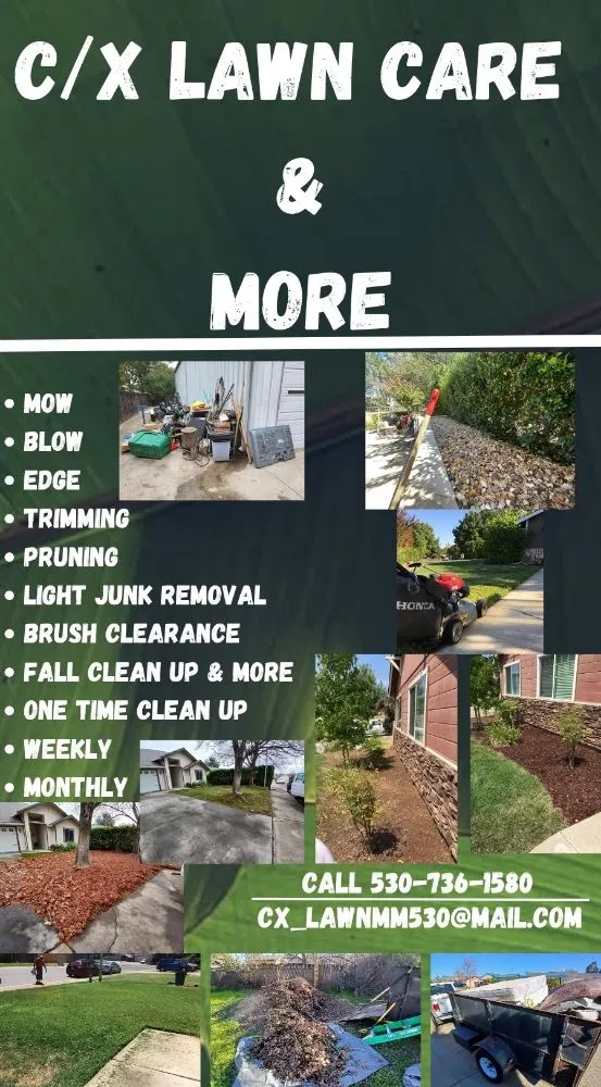 Expert yard cleanup service in Cottonwood, CA - CX Lawn Care & More