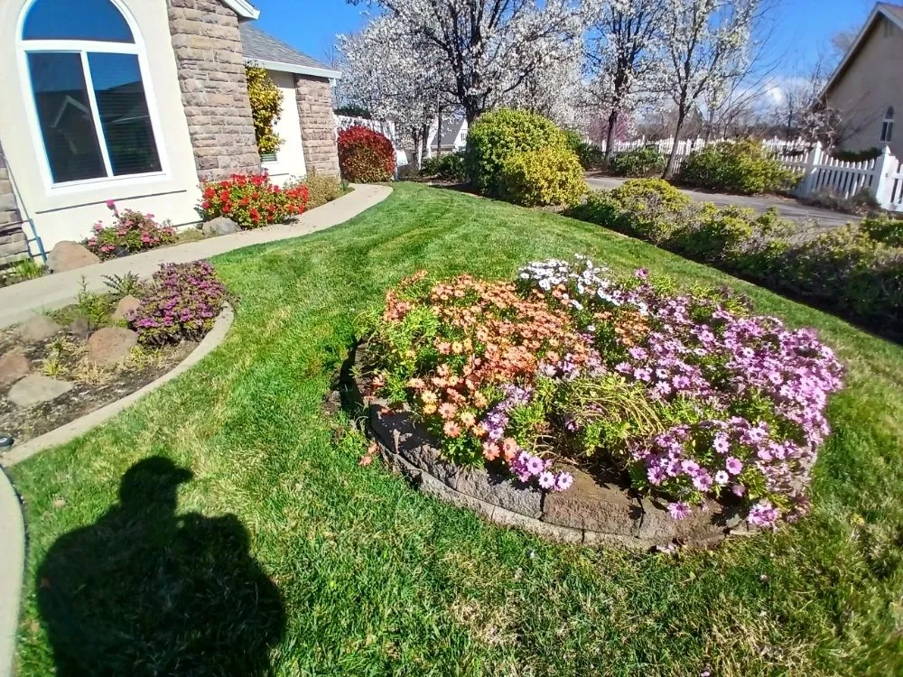 Local garden landscaping for outdoor upgrades in Cottonwood, CA by CX Lawn Care & More