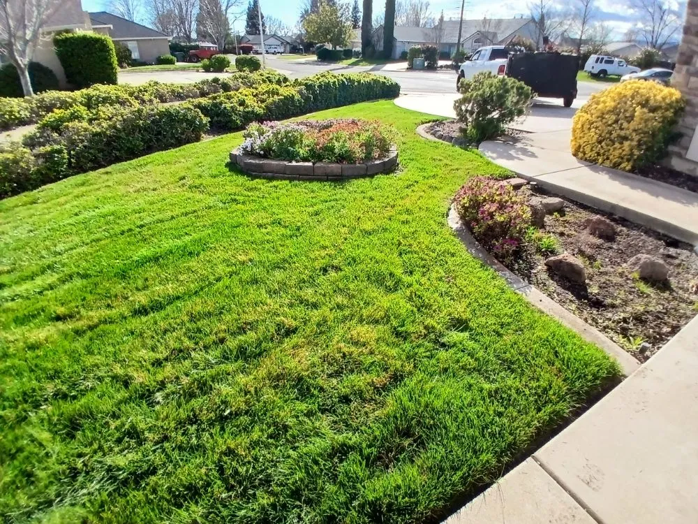 Trusted yard maintenance in Cottonwood, CA - CX Lawn Care & More