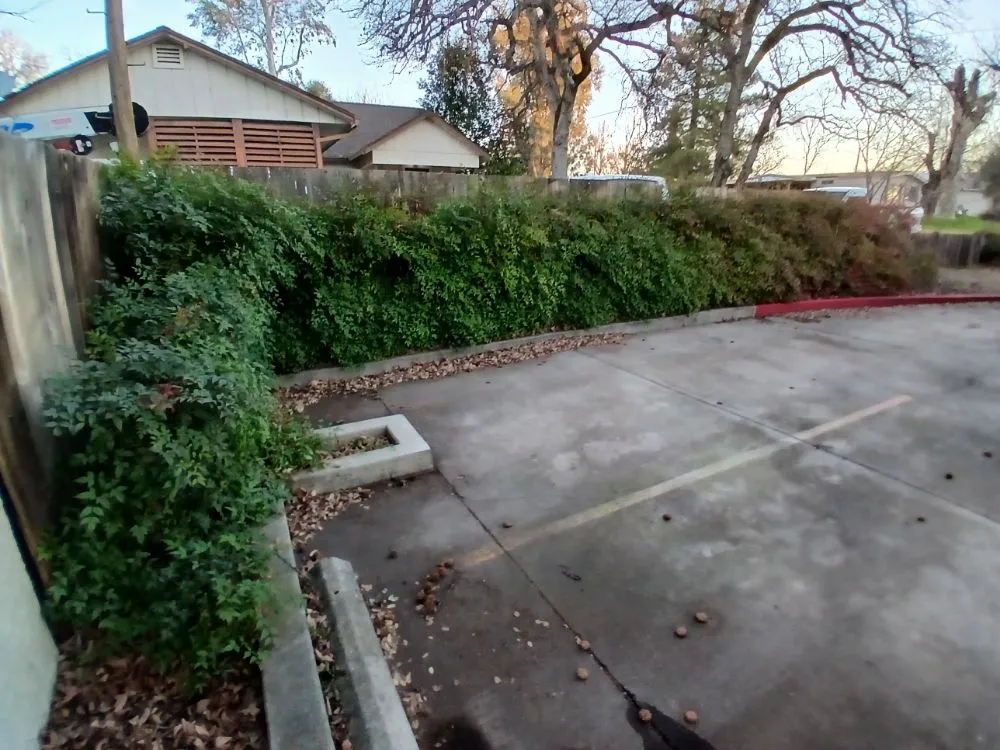 Custom residential landscaping near you in Cottonwood, CA by CX Lawn Care & More