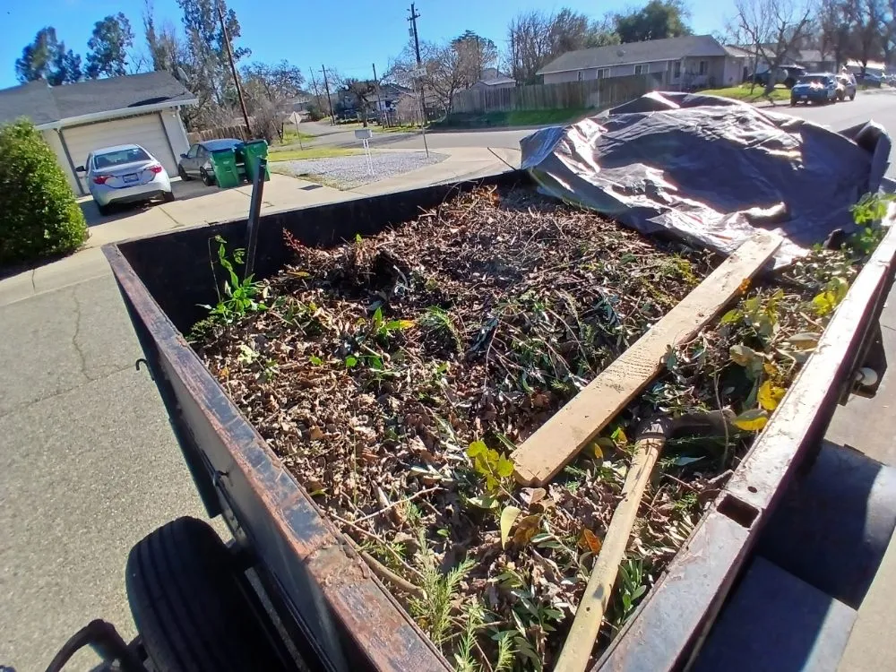 Professional lawn mowing service in Cottonwood, CA - CX Lawn Care & More