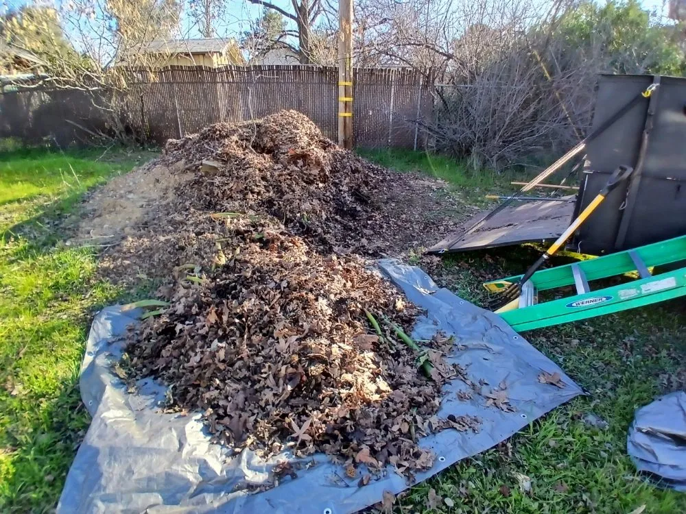 Affordable landscaping services in Cottonwood, CA by CX Lawn Care & More