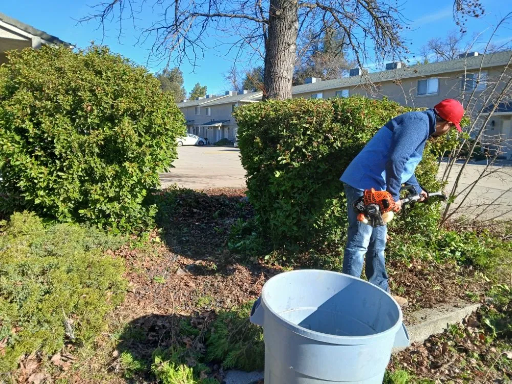 Trusted residential landscaping near you in Cottonwood, CA by CX Lawn Care & More