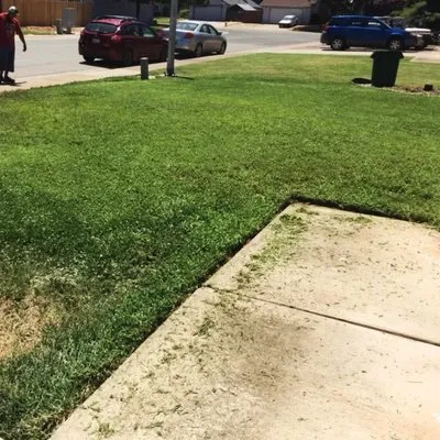 CX Lawn Care & More