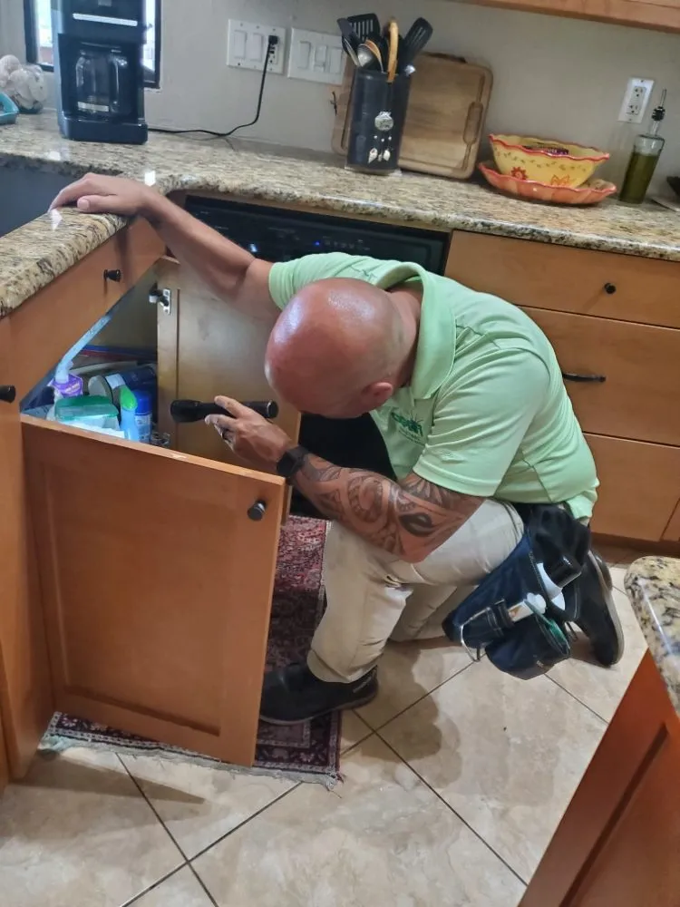 Reliable yard maintenance experts serving Cape Coral, FL - CX Pest Solutions