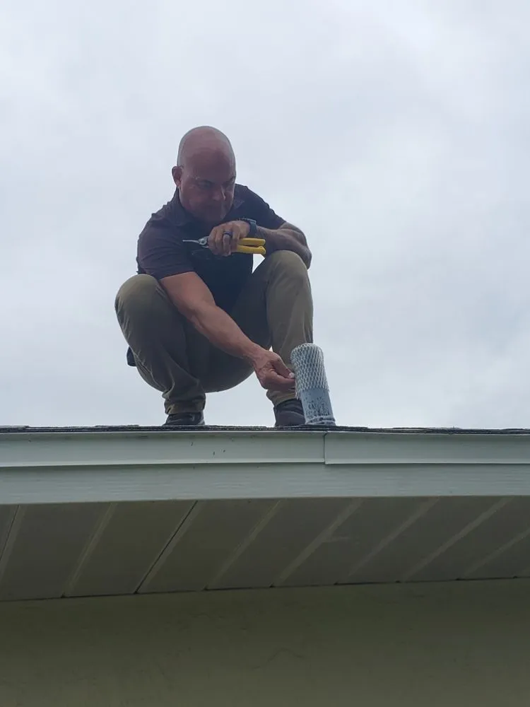 Professional outdoor landscaping experts serving Cape Coral, FL - CX Pest Solutions