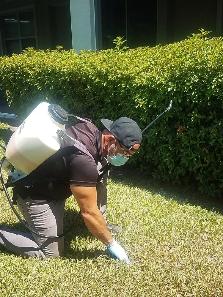 Top-rated lawn mowing service for outdoor upgrades across Cape Coral, FL - CX Pest Solutions