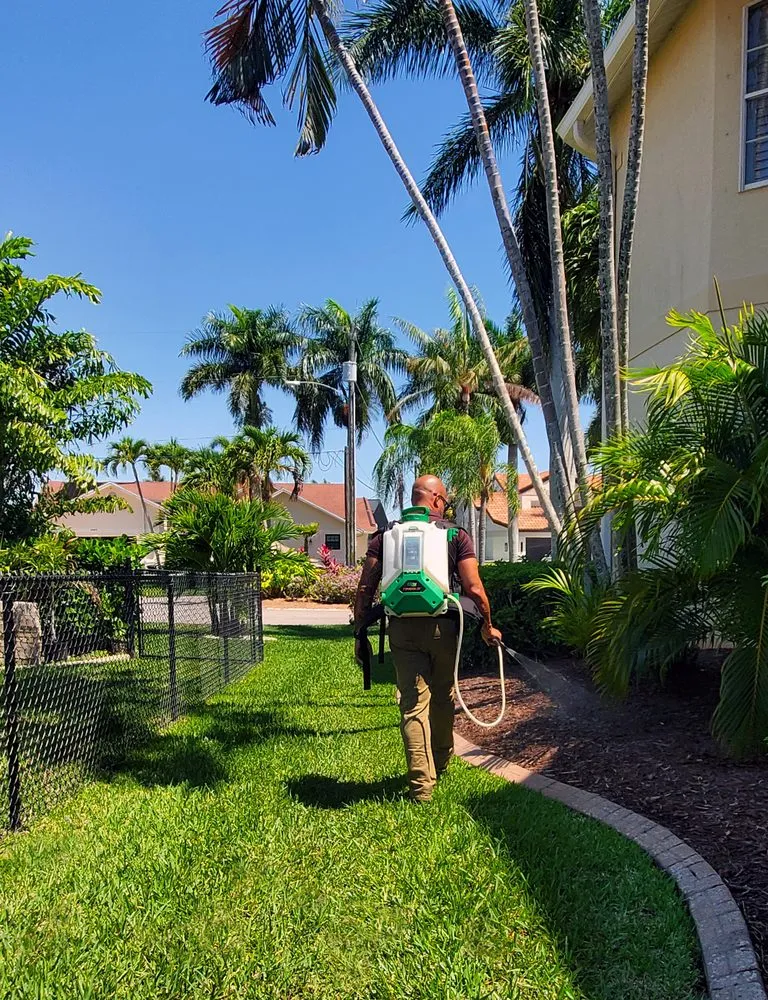 Custom landscape design for residential properties across Cape Coral, FL - CX Pest Solutions