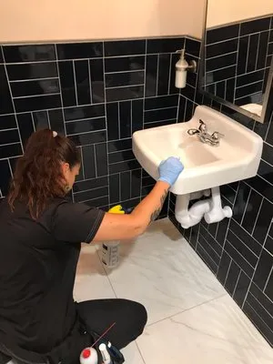 CX Pest Solutions Logo