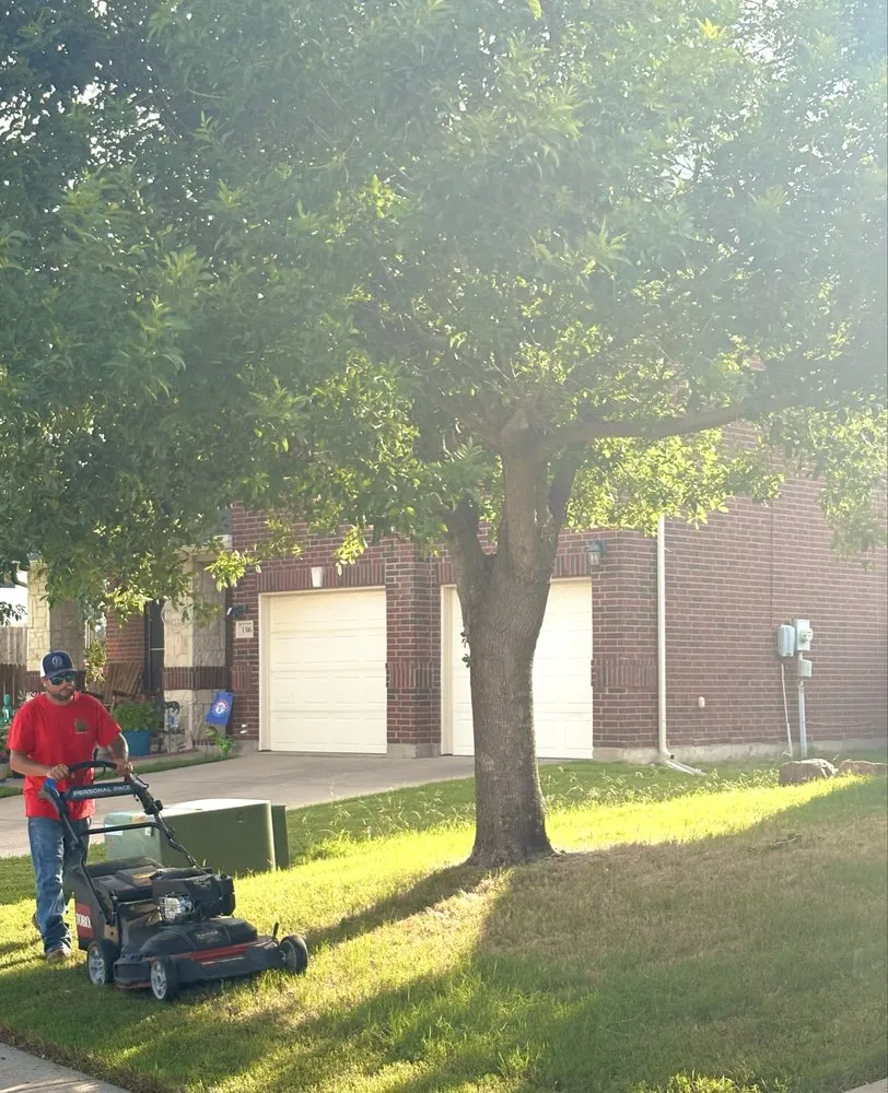 Local yard cleanup service for outdoor upgrades in Burleson, TX by Cx5 Lawn Care