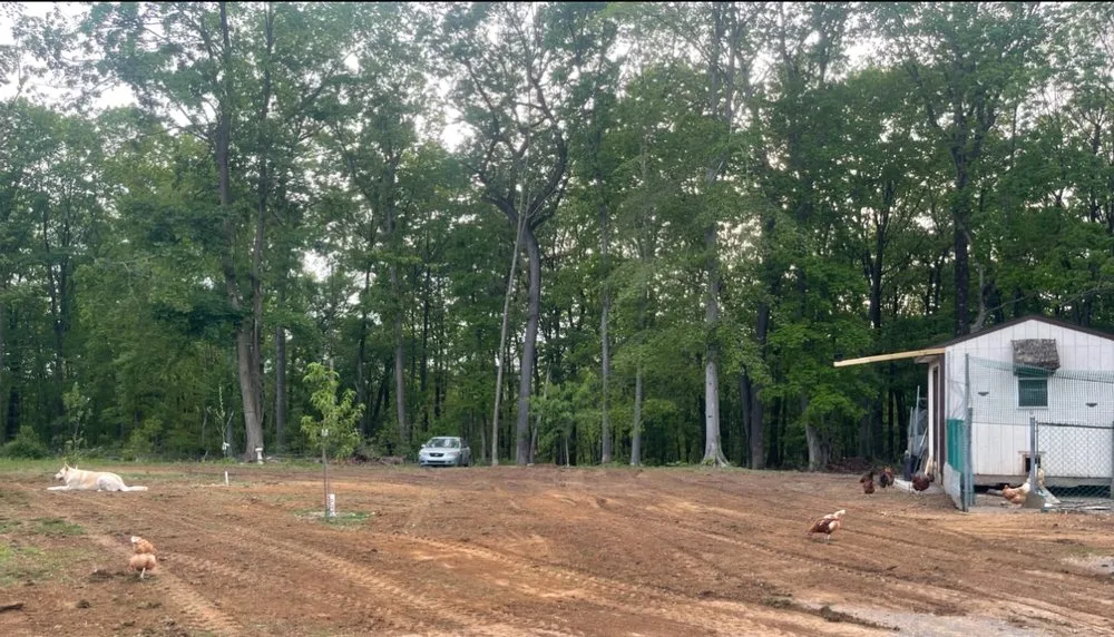 Professional garden landscaping in Allentown, PA - CXC Contracting