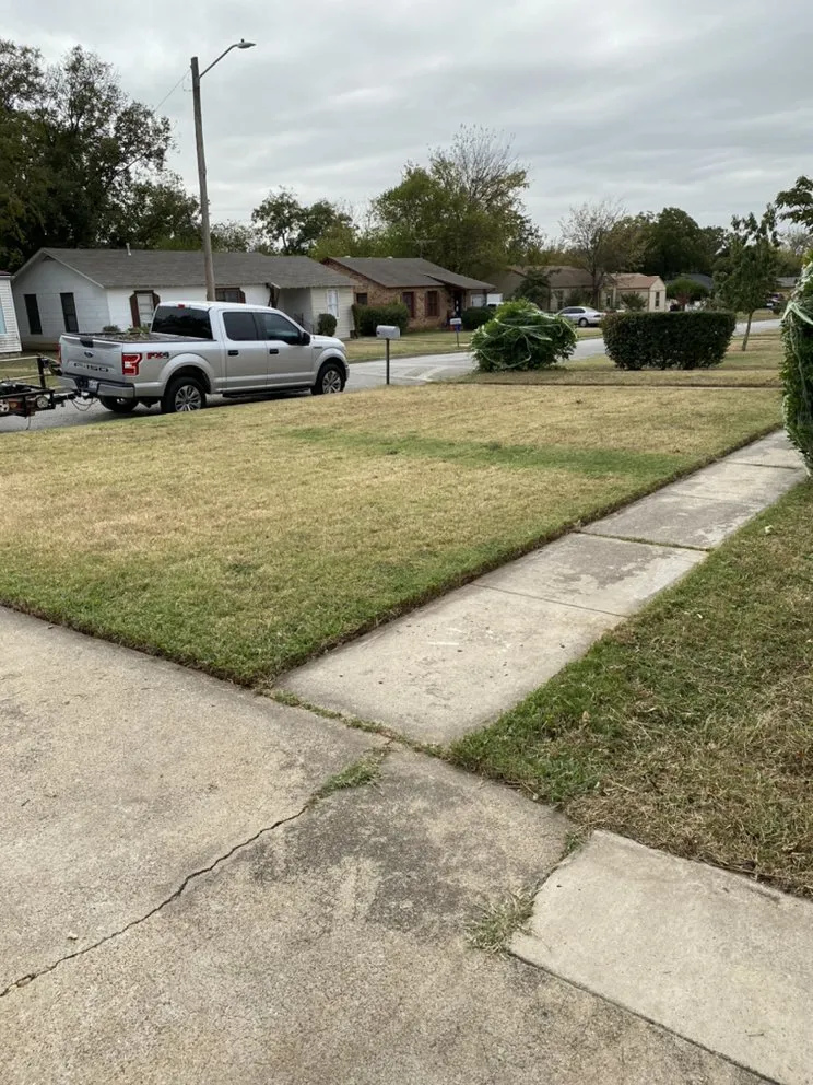 Top-rated outdoor landscaping near you in Haddonfield, NJ by CY Landscaping and Junk Removal