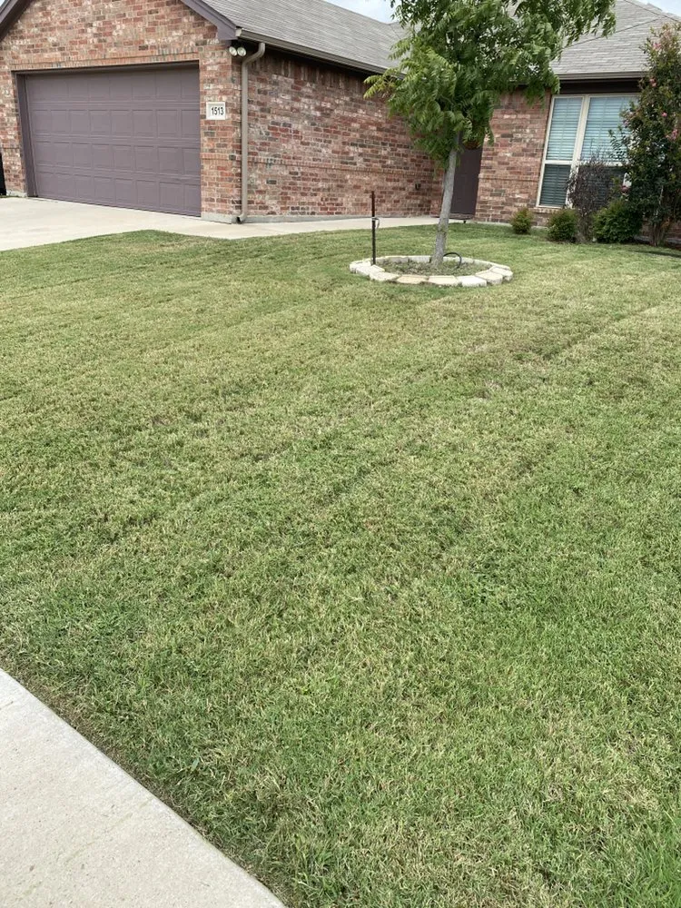 Trusted lawn mowing service in Haddonfield, NJ - CY Landscaping and Junk Removal