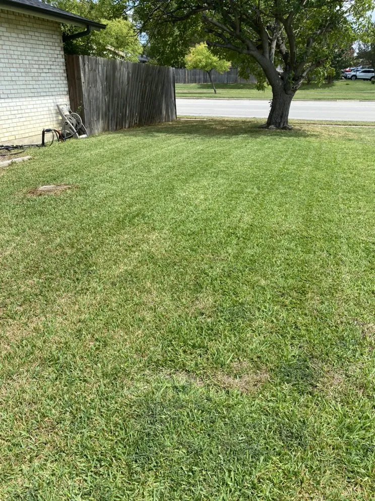 Local yard maintenance in Haddonfield, NJ by CY Landscaping and Junk Removal