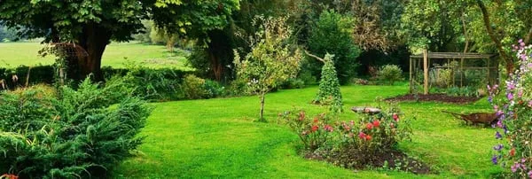 Cy Total Yardcare Logo