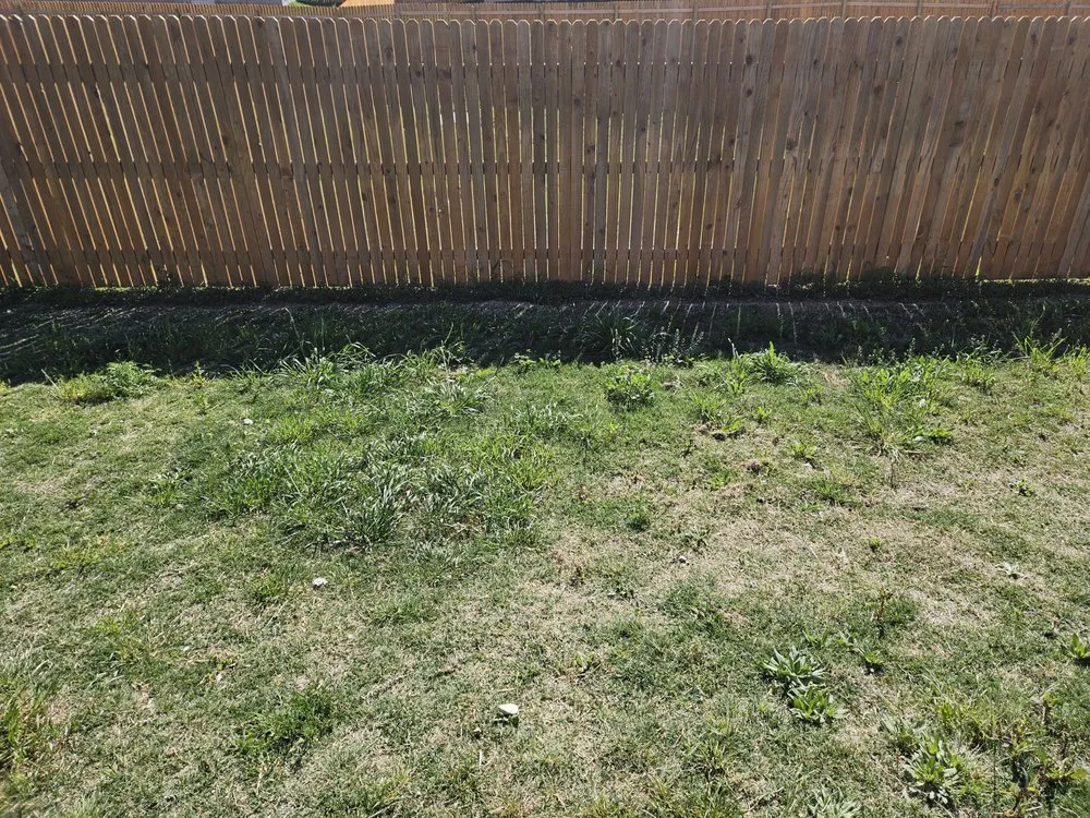 Professional yard maintenance for residential properties in Killeen, TX by Cyber Blades