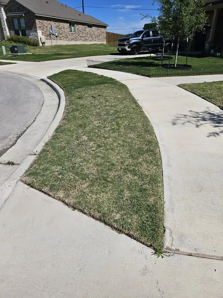 Professional landscaping services in Killeen, TX by Cyber Blades