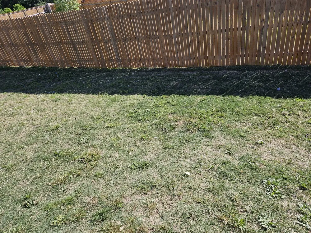 Expert lawn care service in Killeen, TX - Cyber Blades