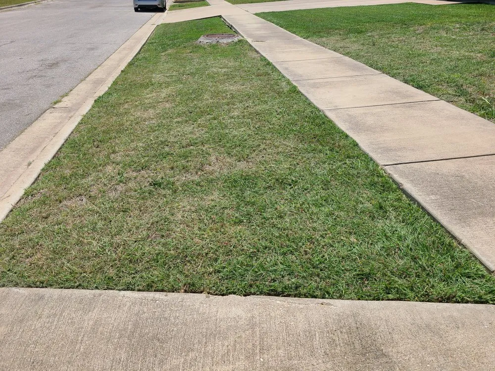 Affordable landscaping services for year-round maintenance across Killeen, TX - Cyber Blades