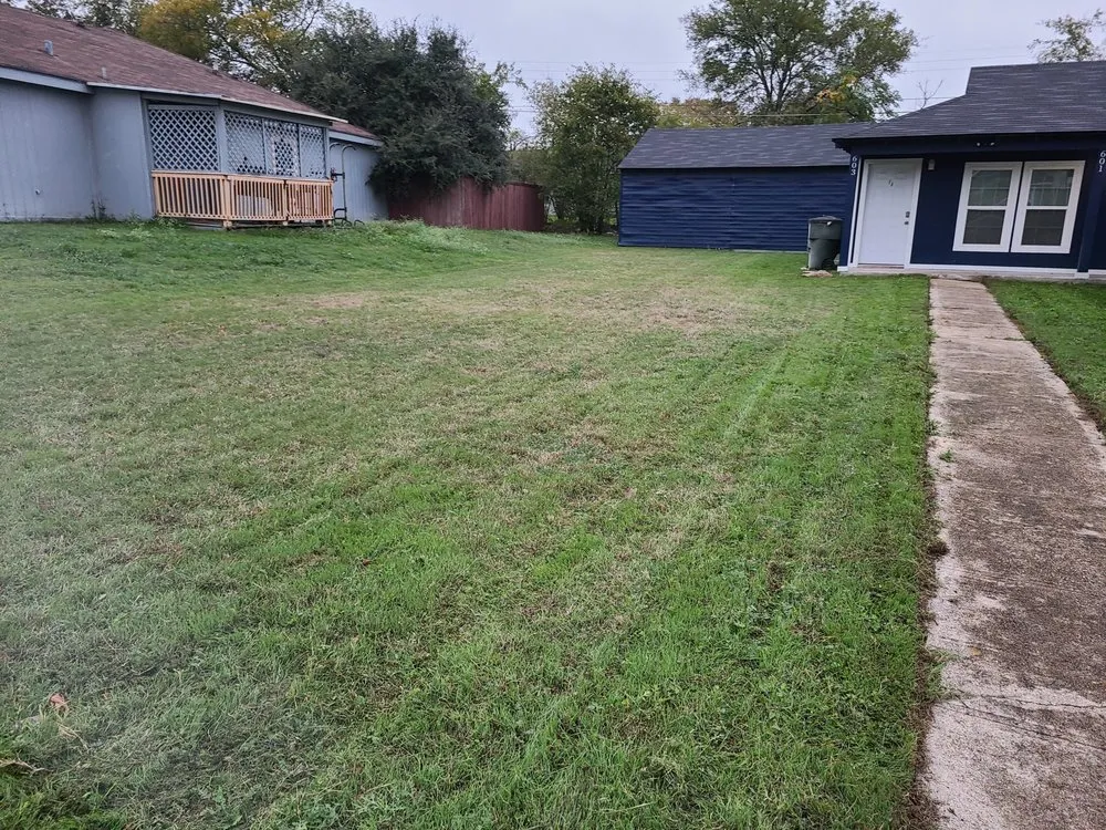 Affordable lawn care service for beautiful yards in Killeen, TX by Cyber Blades