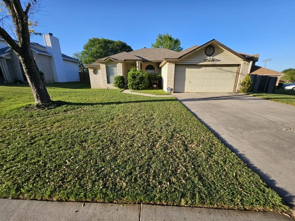 Professional outdoor landscaping in Killeen, TX by Cyber Blades