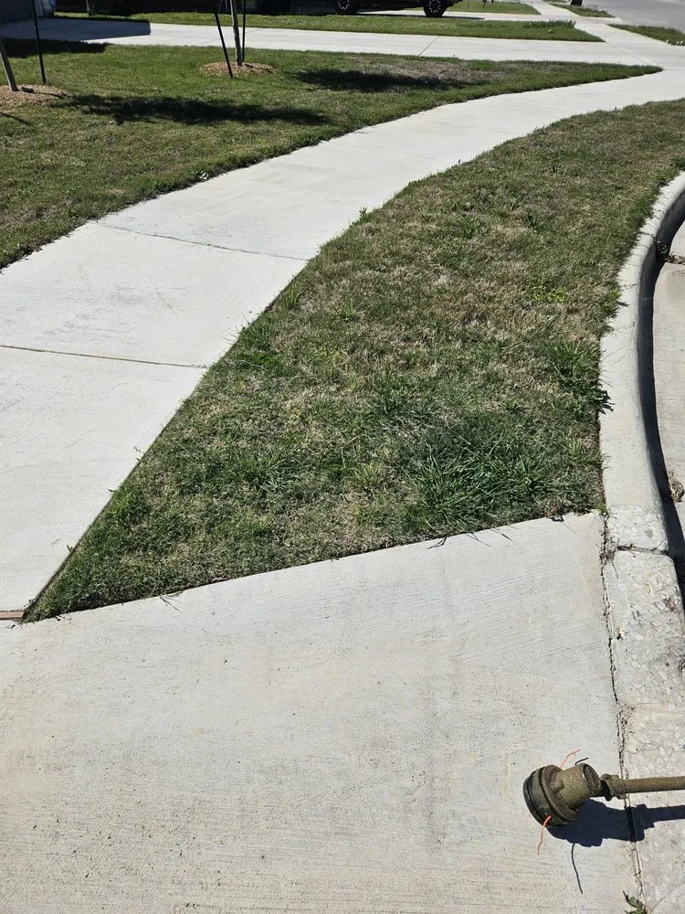 Custom yard cleanup service in Killeen, TX by Cyber Blades