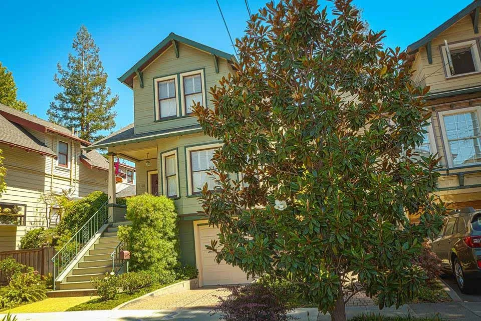 Custom yard cleanup service experts serving Greenview, CA - Cycling Arborist