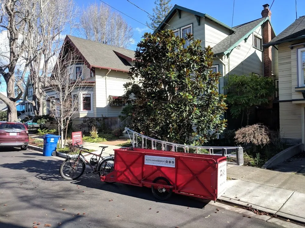 Top-rated landscape installation with custom design in Greenview, CA by Cycling Arborist