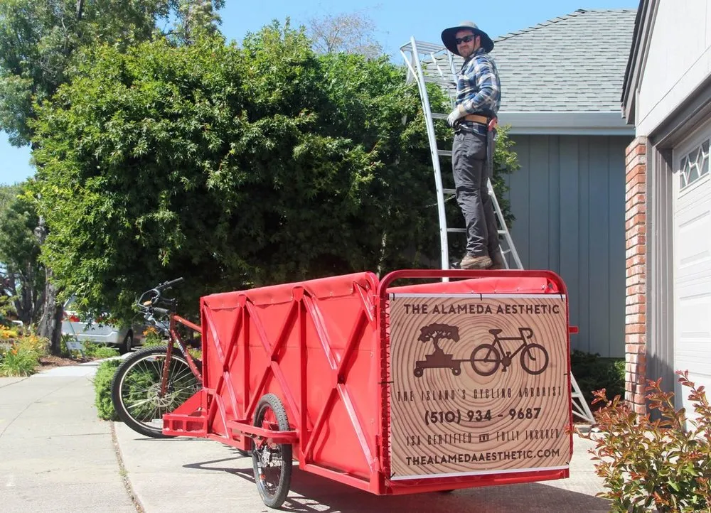 Affordable lawn care service in Greenview, CA - Cycling Arborist
