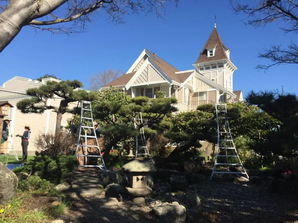 Reliable garden landscaping experts serving Greenview, CA - Cycling Arborist