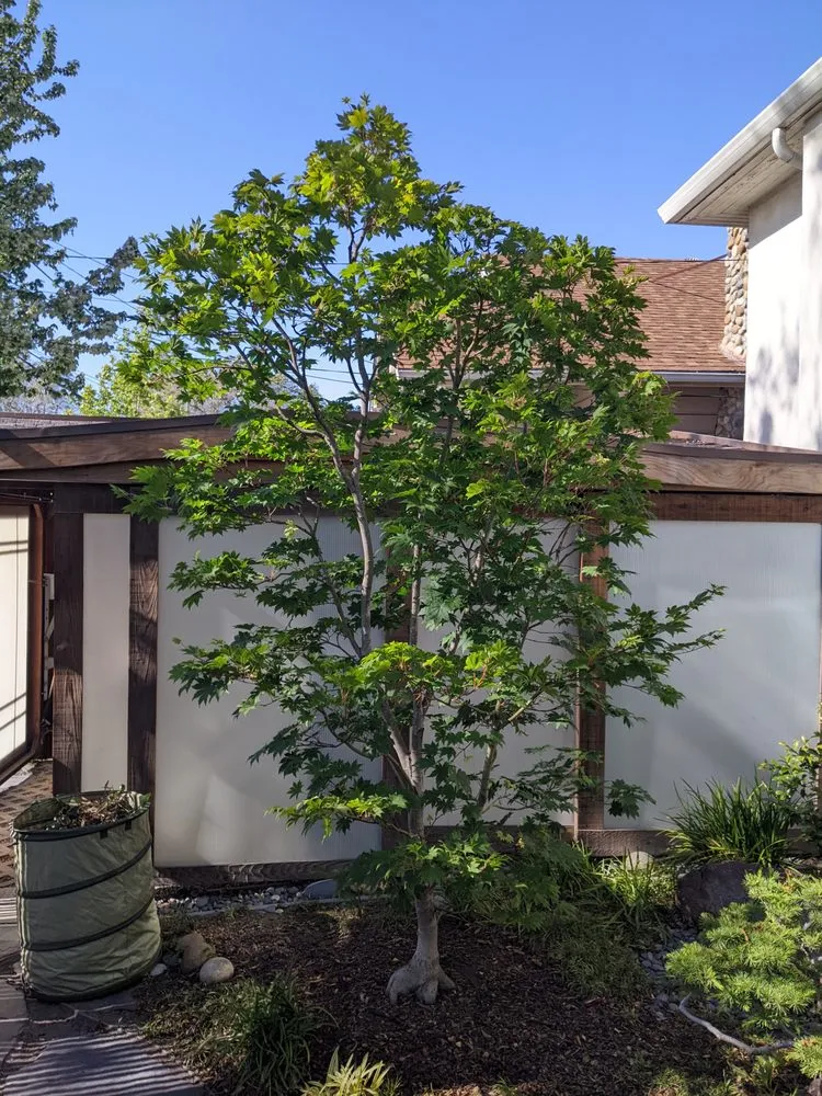 Affordable garden landscaping in Greenview, CA - Cycling Arborist