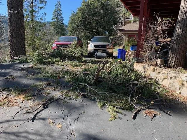 Trusted outdoor landscaping experts serving Twin Peaks, CA - CYD Landscaping