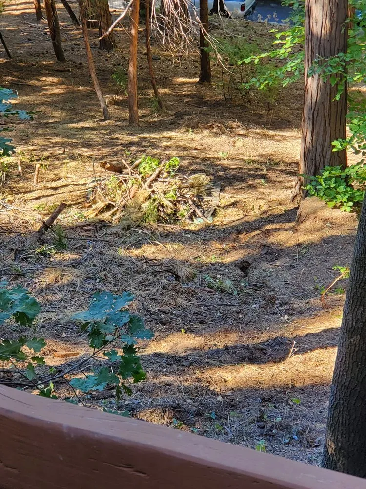 Custom yard cleanup service for residential properties across Twin Peaks, CA - CYD Landscaping