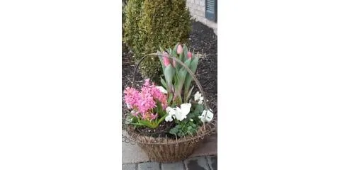 Top-rated landscape design near you in North Bend, OH by Cyndi's Garden