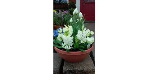 Reliable landscape installation in North Bend, OH - Cyndi's Garden
