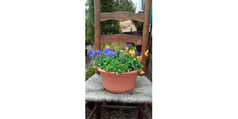 Affordable landscape installation with custom design in North Bend, OH by Cyndi's Garden