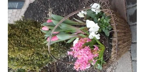 Reliable yard cleanup service in North Bend, OH - Cyndi's Garden