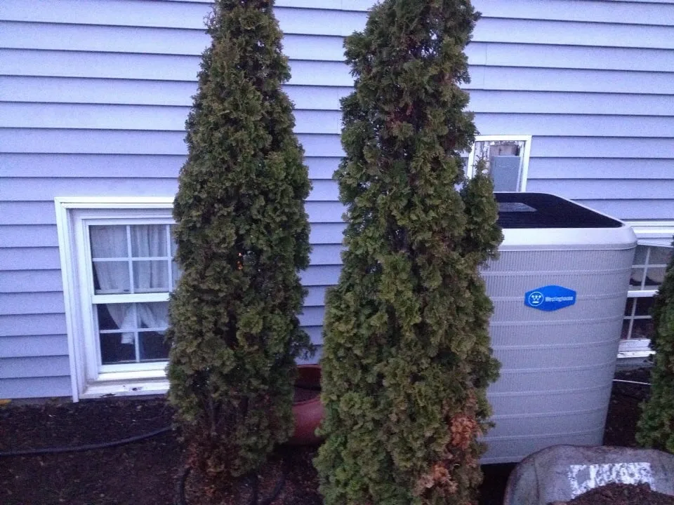 Trusted landscape installation in North Bend, OH - Cyndi's Garden