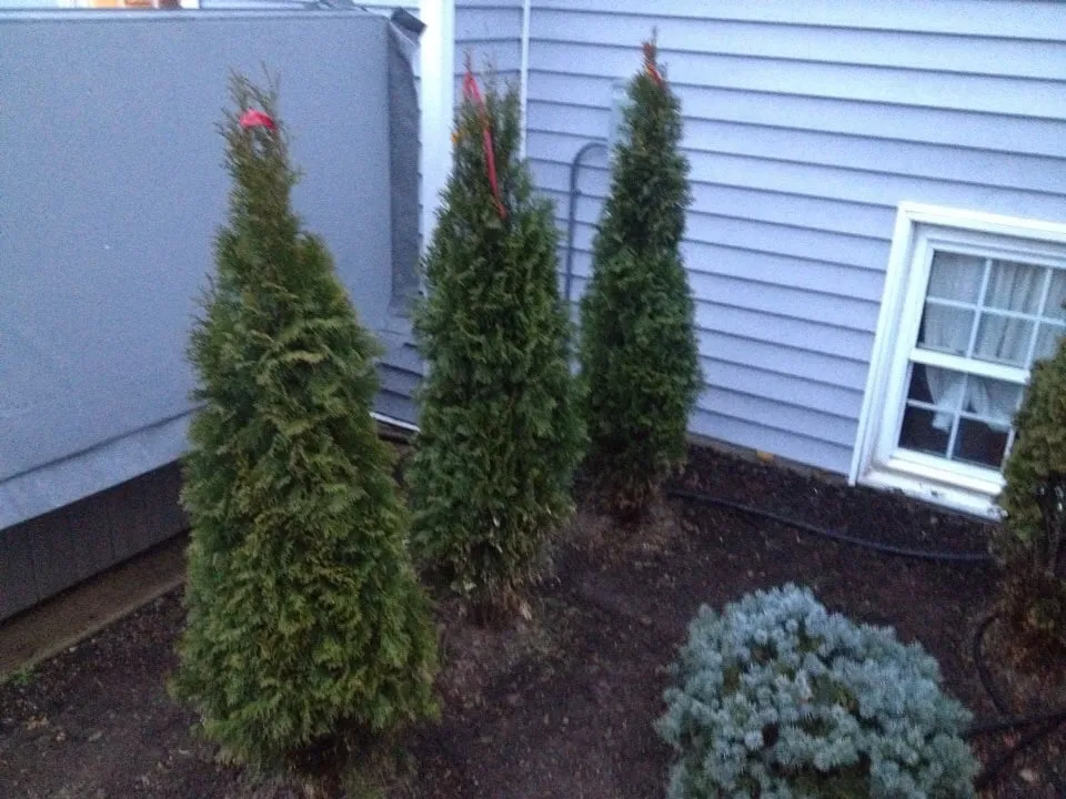 Expert residential landscaping for beautiful yards across North Bend, OH - Cyndi's Garden